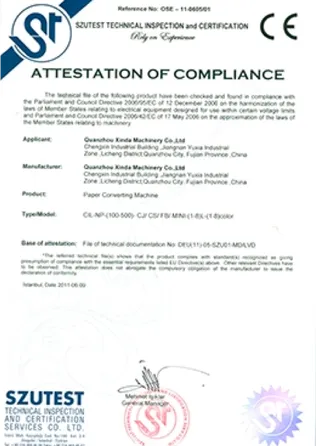 Audit report issued by TÜV Rheinlan